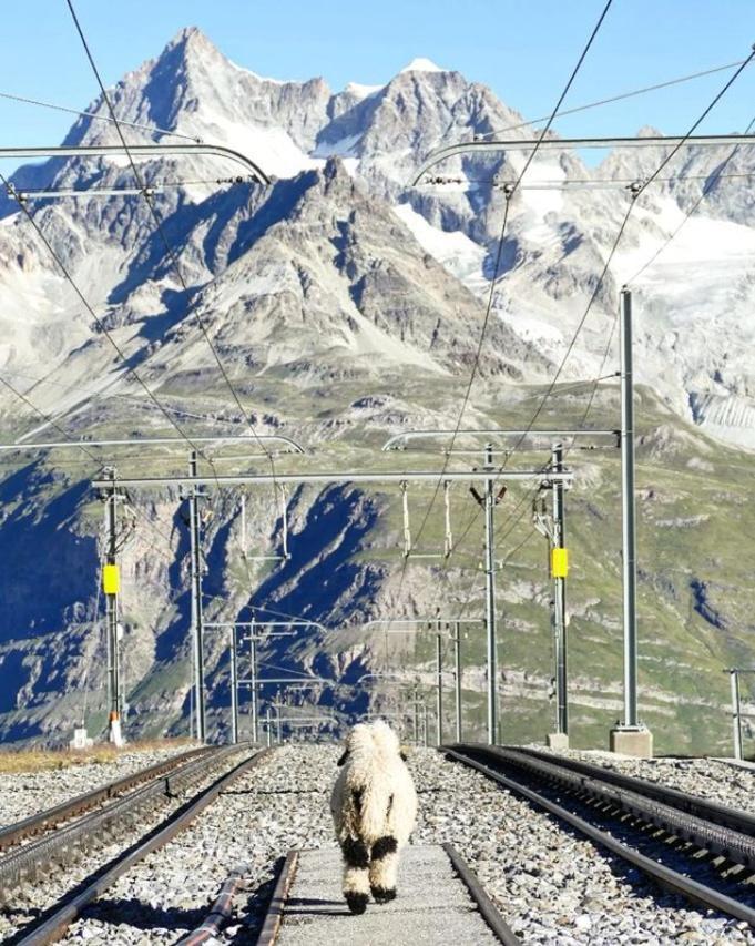 3100 Kulmhotel Gornergrat Цермат Екстериор снимка